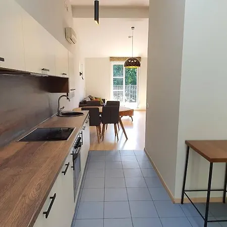 Apartment Boksto Vilnius